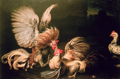 Kampfhähne von Frans Snyders or Snijders